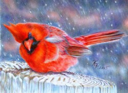 8 x 10 Prismacolor ~
Print $75