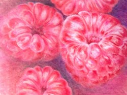 3 x 5 Prismacolor ~
Print $75