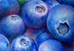 3 x 5 Prismacolor ~
Gifted