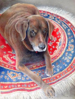 11 x 14 Prismacolor - SOLD