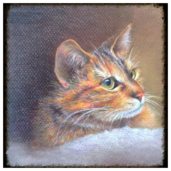 5 x 5 Prismacolor ~
Framed original $250 ~
Print $75