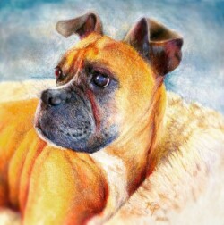 9" x 9" Prismacolor - SOLD