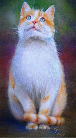 Polychromos on sanded paper ~
Original $250
Print $75