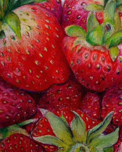 Prismacolor ~
Print $75