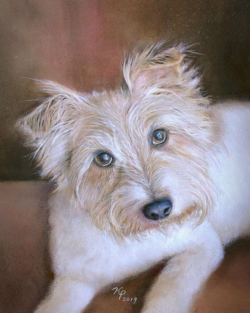 10 x 12 Pastel and colored pencil on sanded paper ~ SOLD