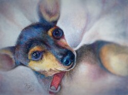 5 x 7 mixed pencils on Mi Teintes My Touch Sanded paper ~
Gifted